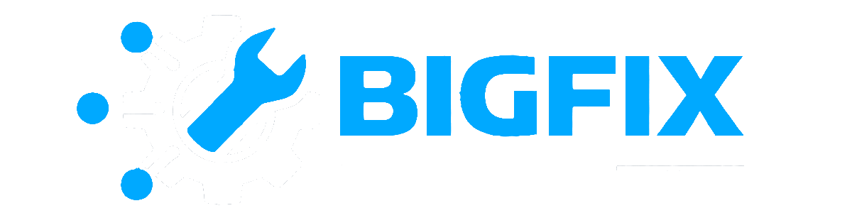 Bigfix Logo